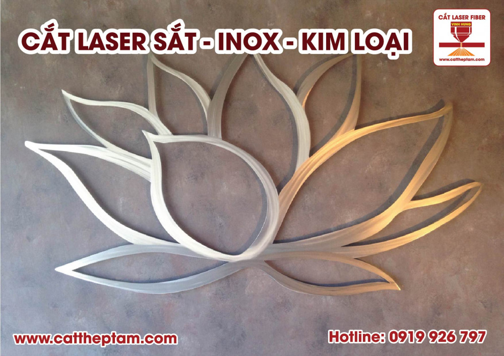 cat laser sat 01 4