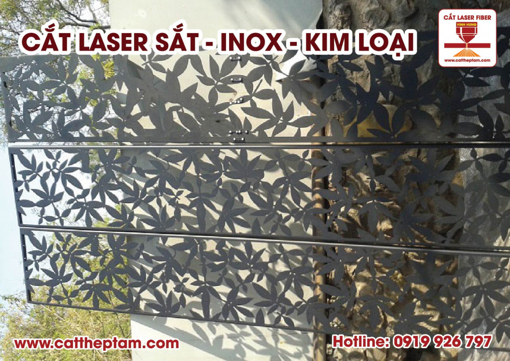 cat laser sat 13