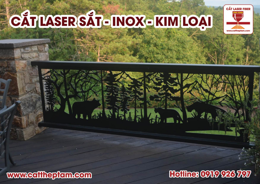 cat laser sat gia re hcm 04 1