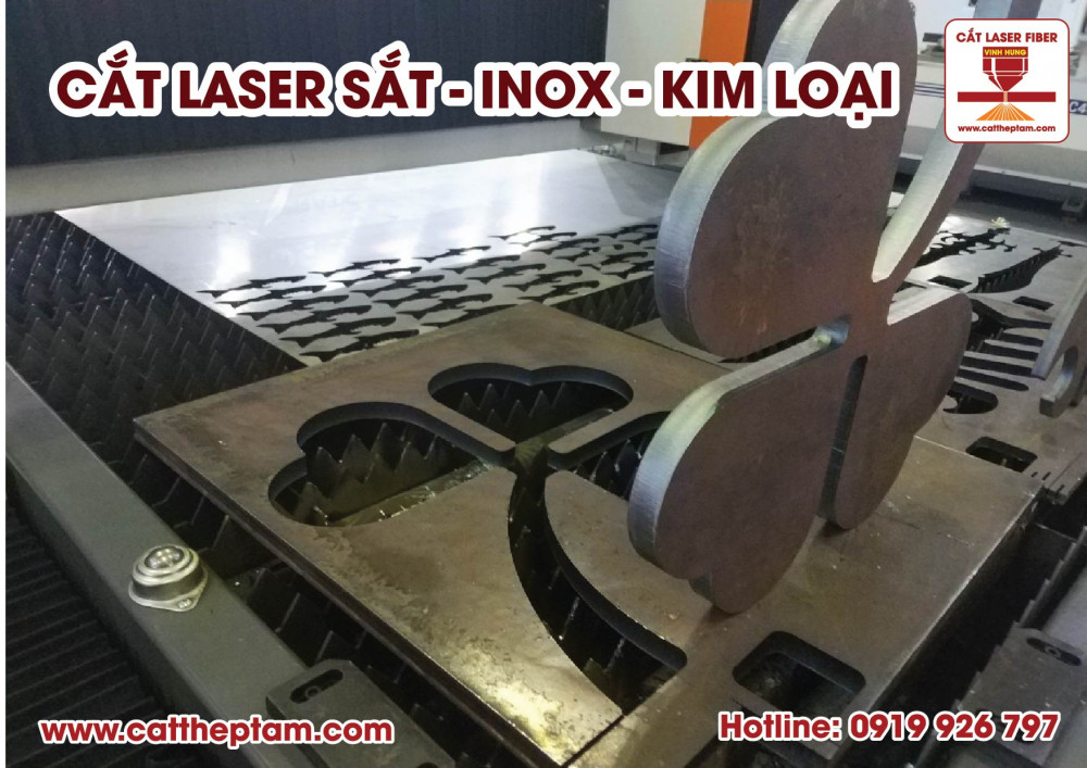 cat laser sat 11