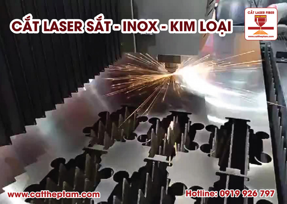 cat laser inox 02 5