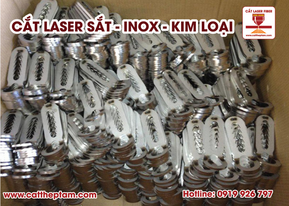 cat laser inox 03