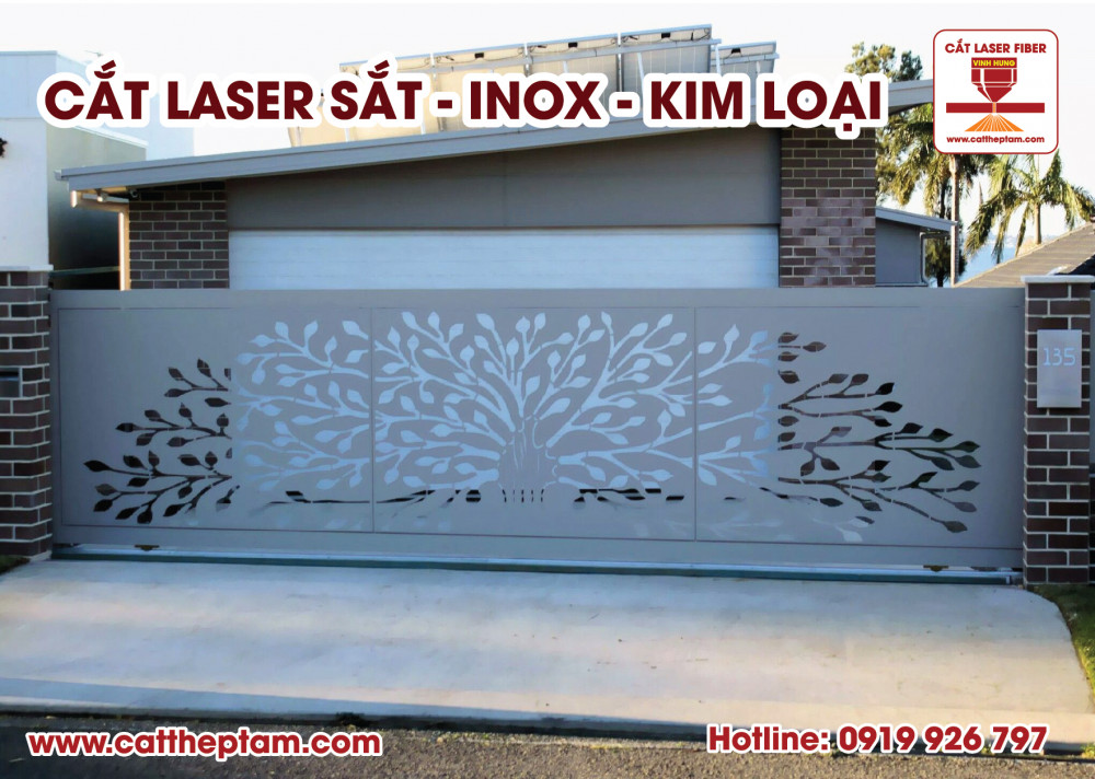 cat laser inox 04 9