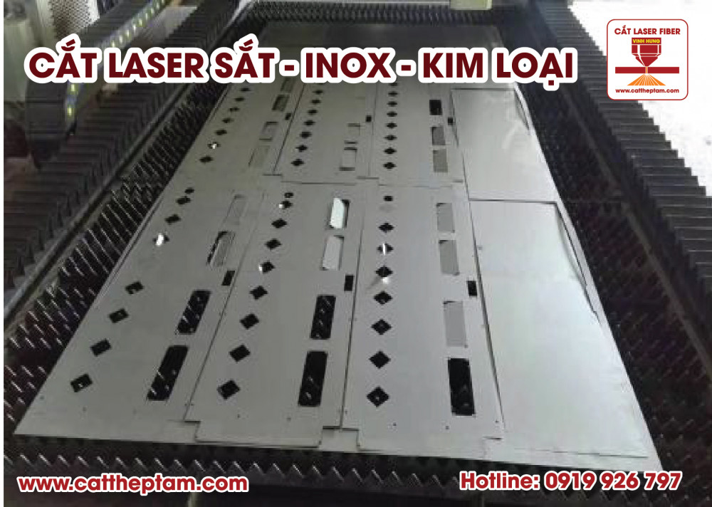 cat laser inox 08