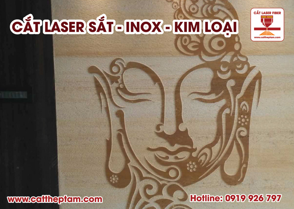 cat laser inox sat 02