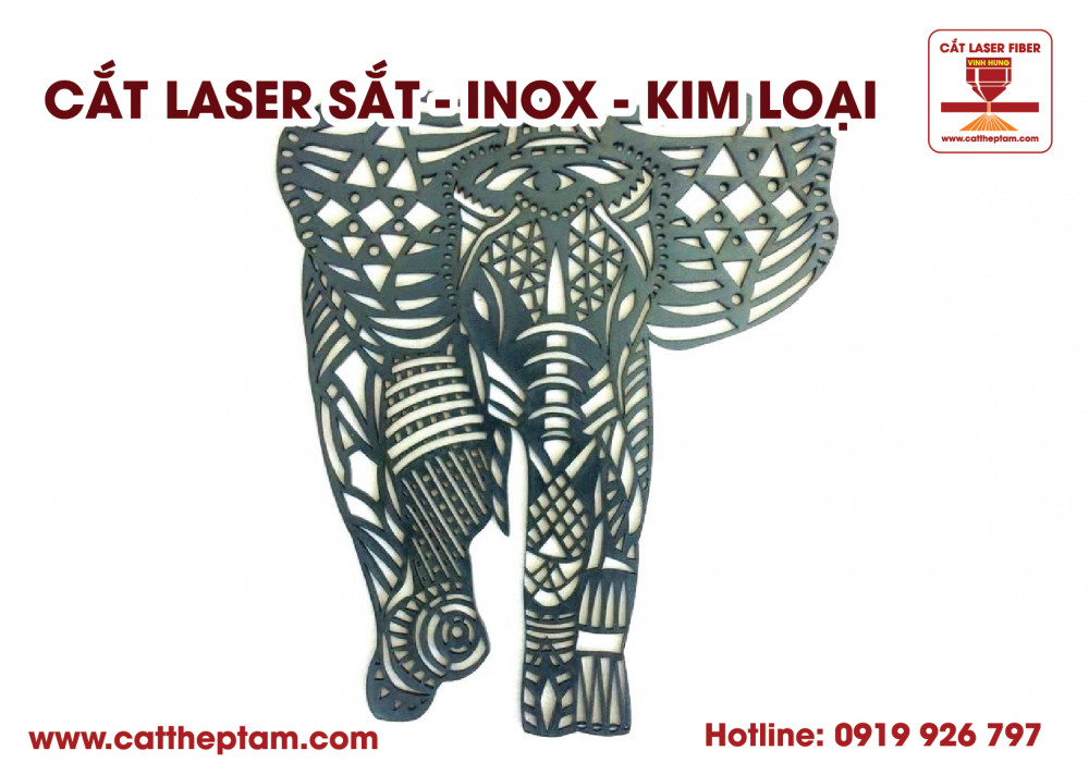 cat laser inox sat 03