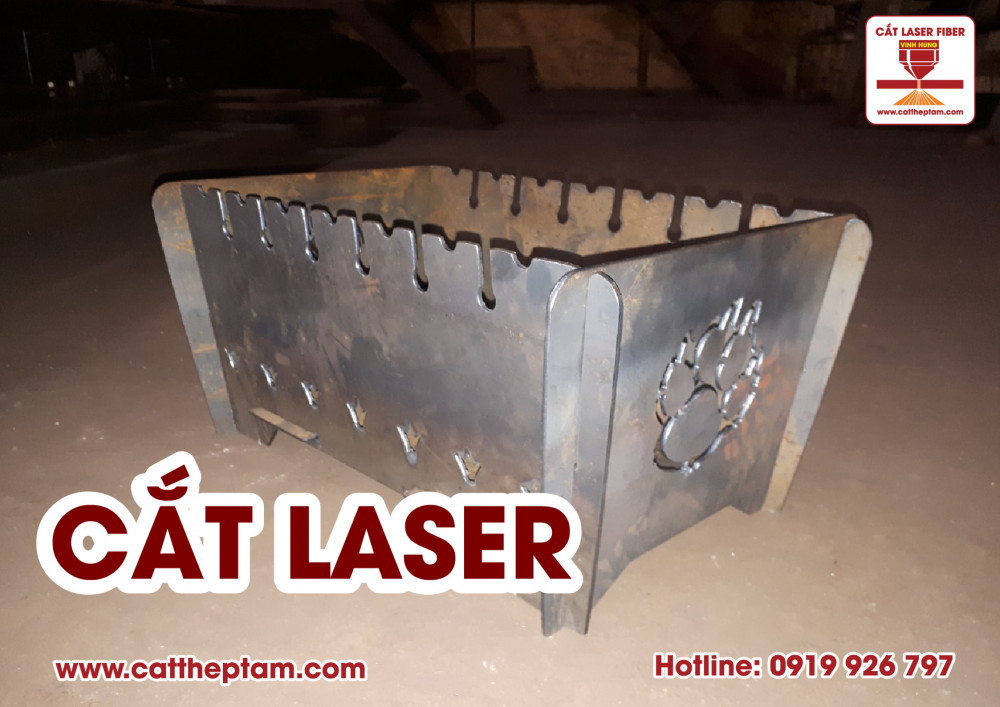 cat laser 04